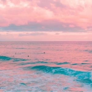 Meet your Posher, Ava